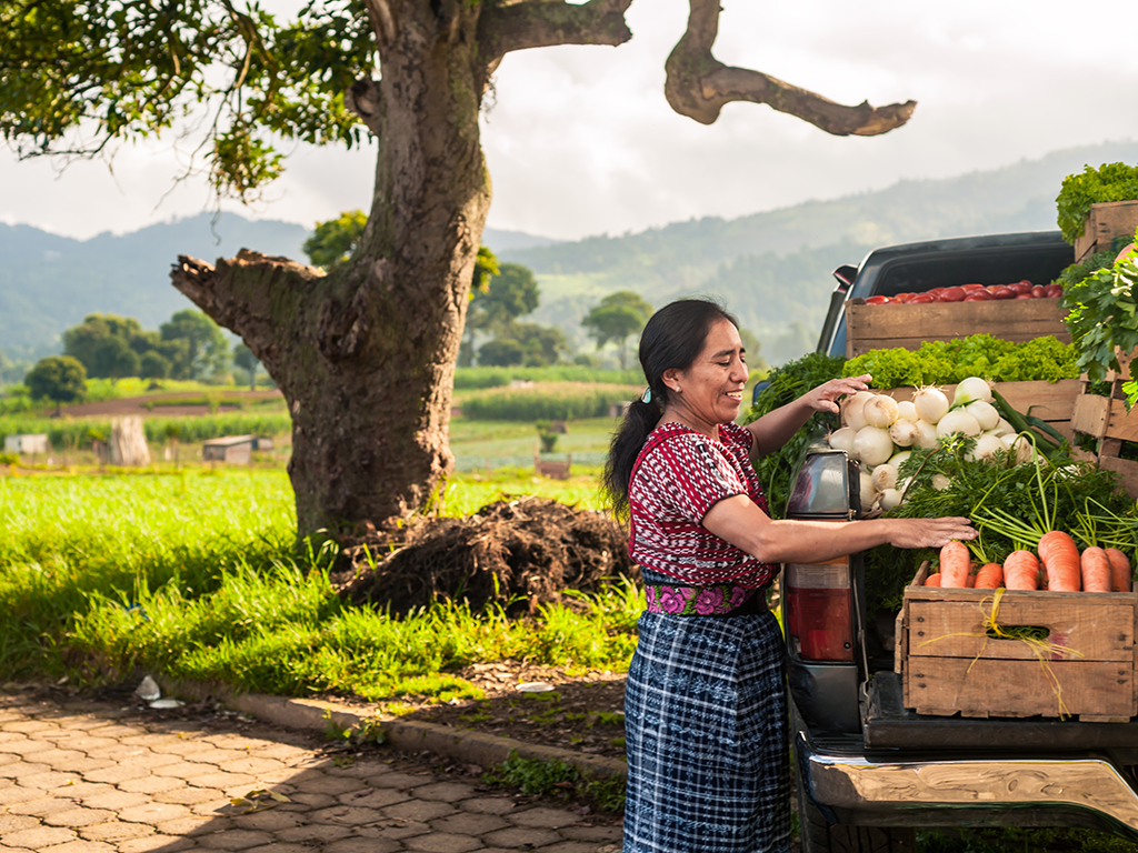 1024x768_woman_latam_agriculture_shutterstock.png