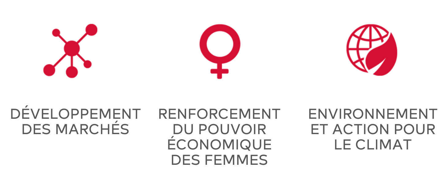 Objectifs de l’impact sur le développement de FinDev Canada