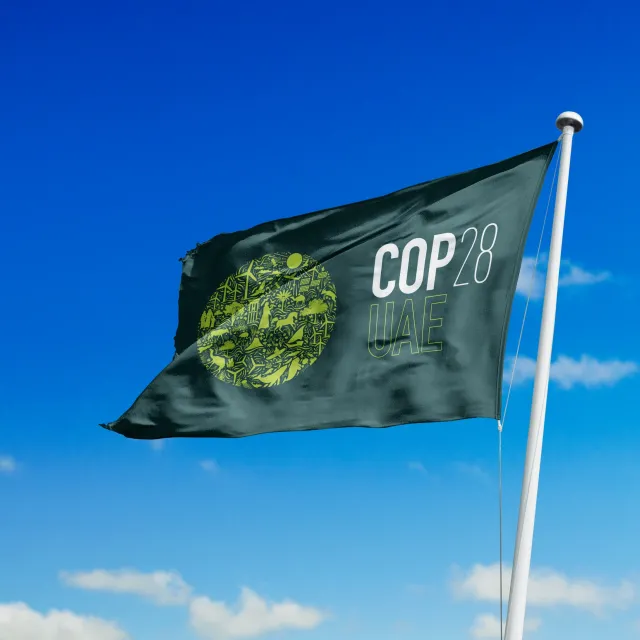 COP28 FLAG