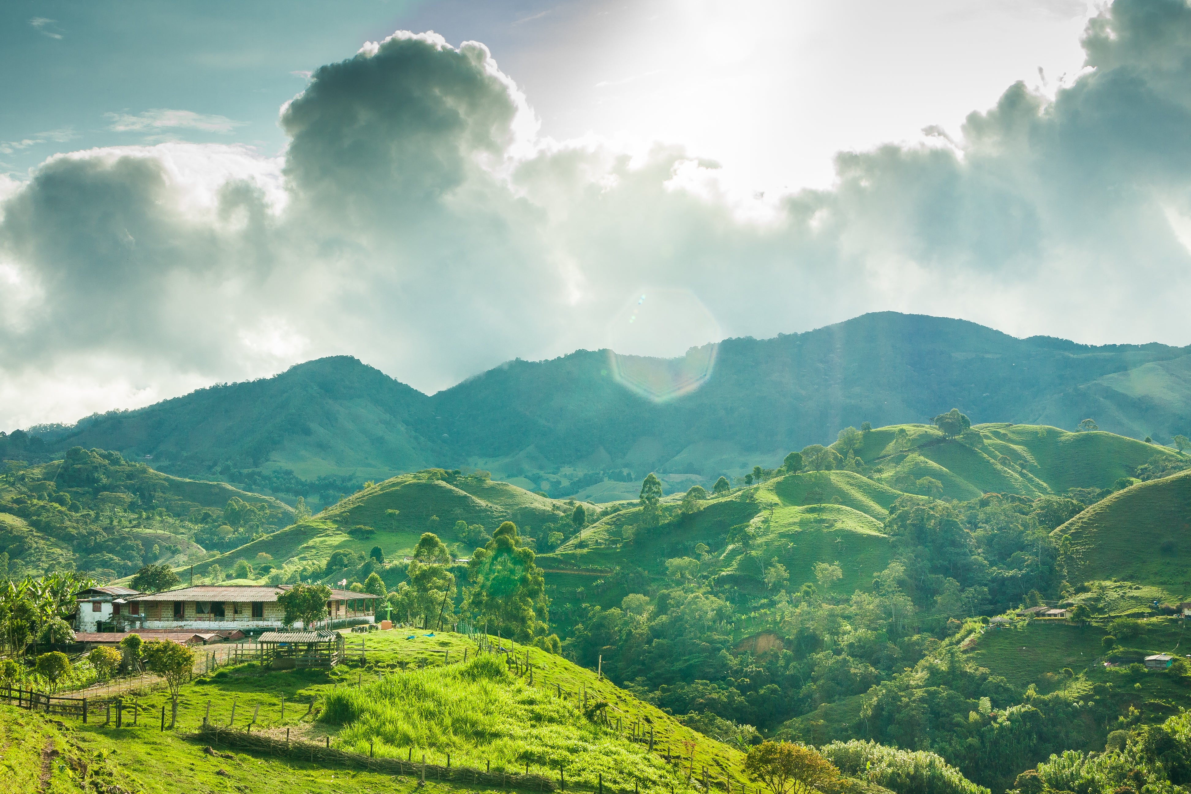 Small coffee farm in Colombia