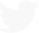 Twitter FinDev
