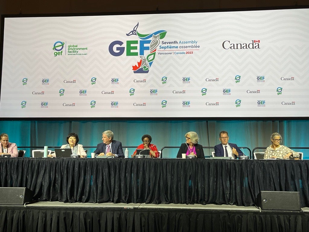 GEF panel photo 2