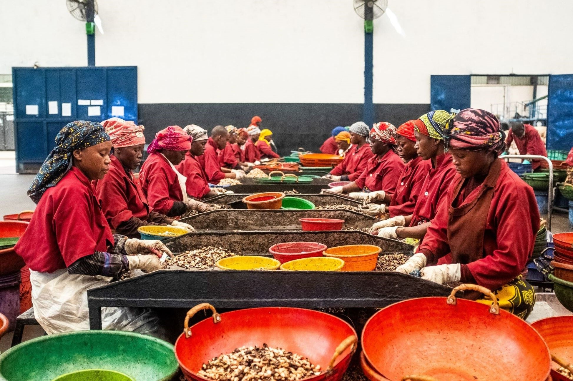 ETG female workers in a nut selection facility