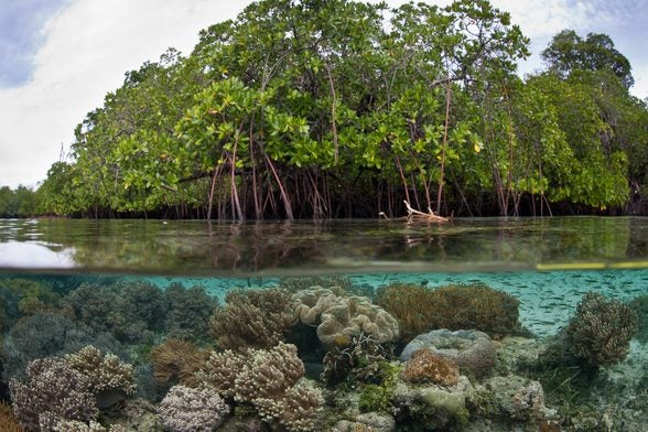 Island with greenery
