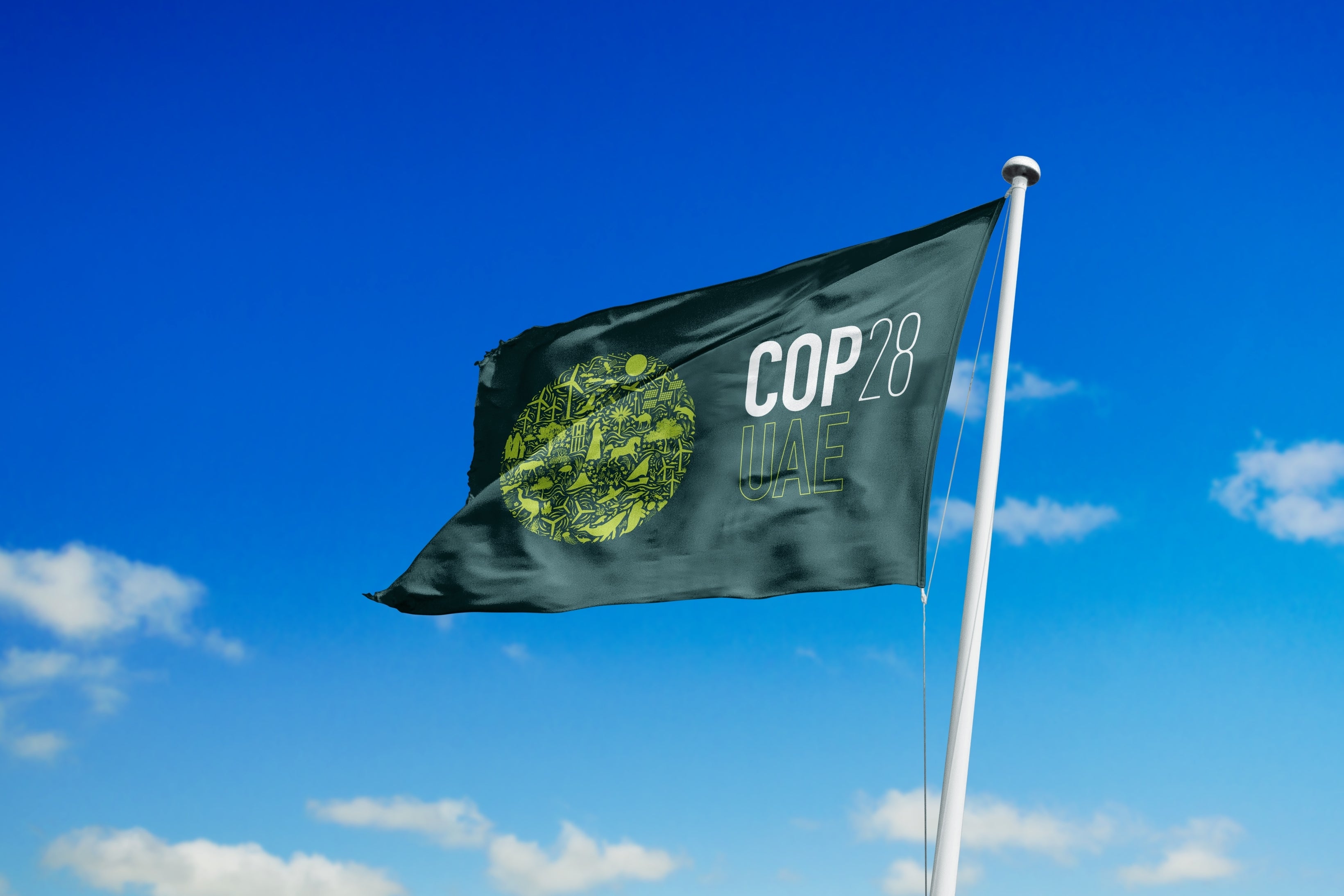 COP28 FLAG