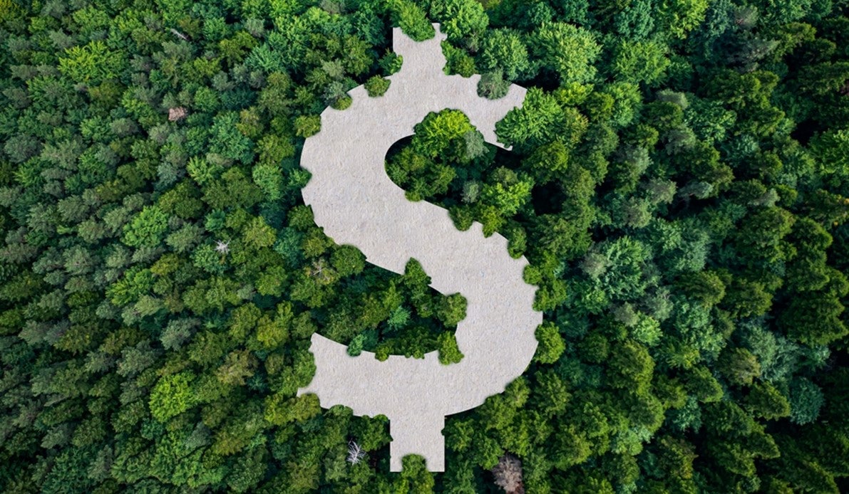 Dollar sign in trees