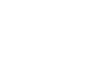 X social network logo