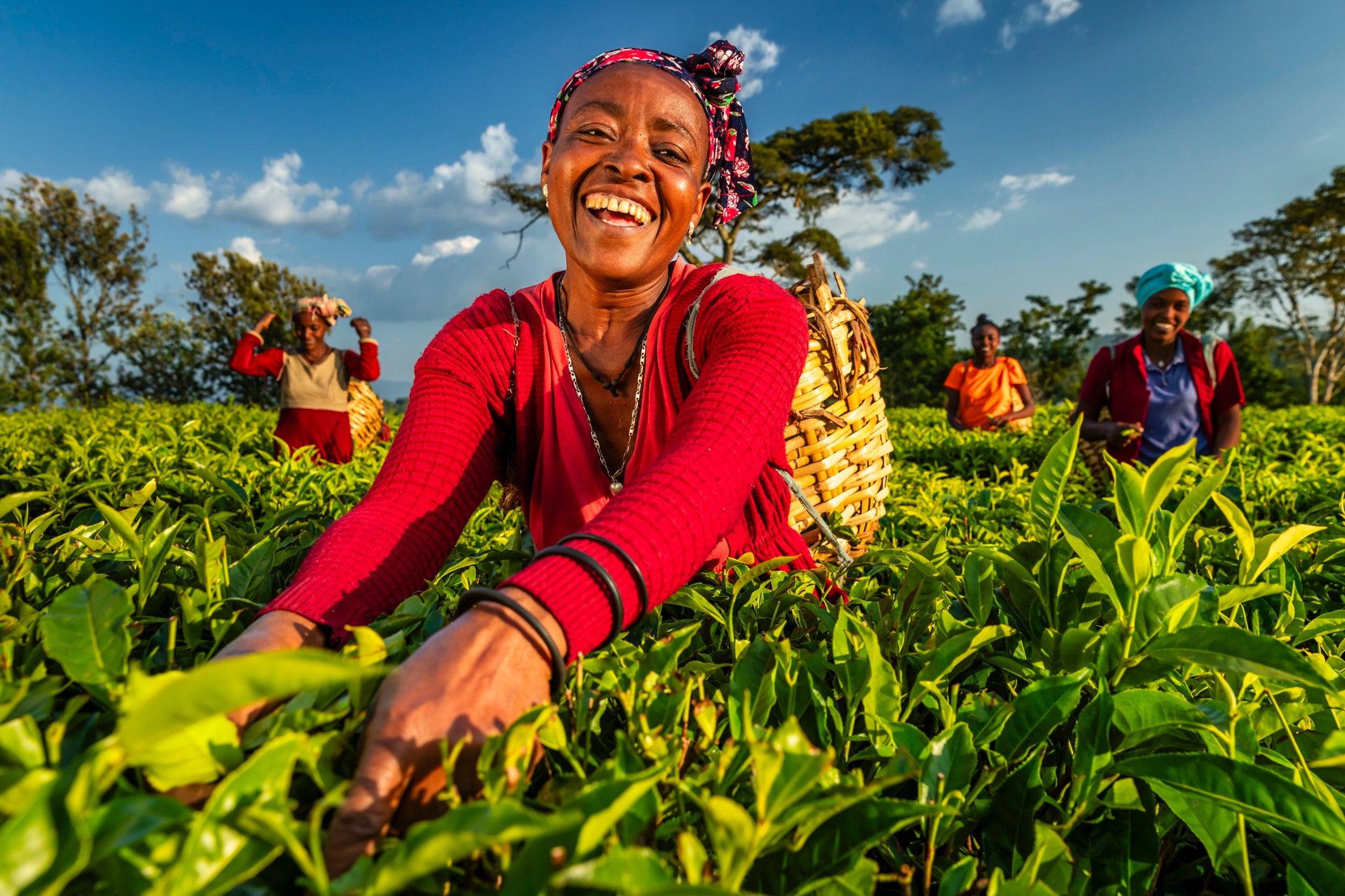 Woman working in a field and smiling