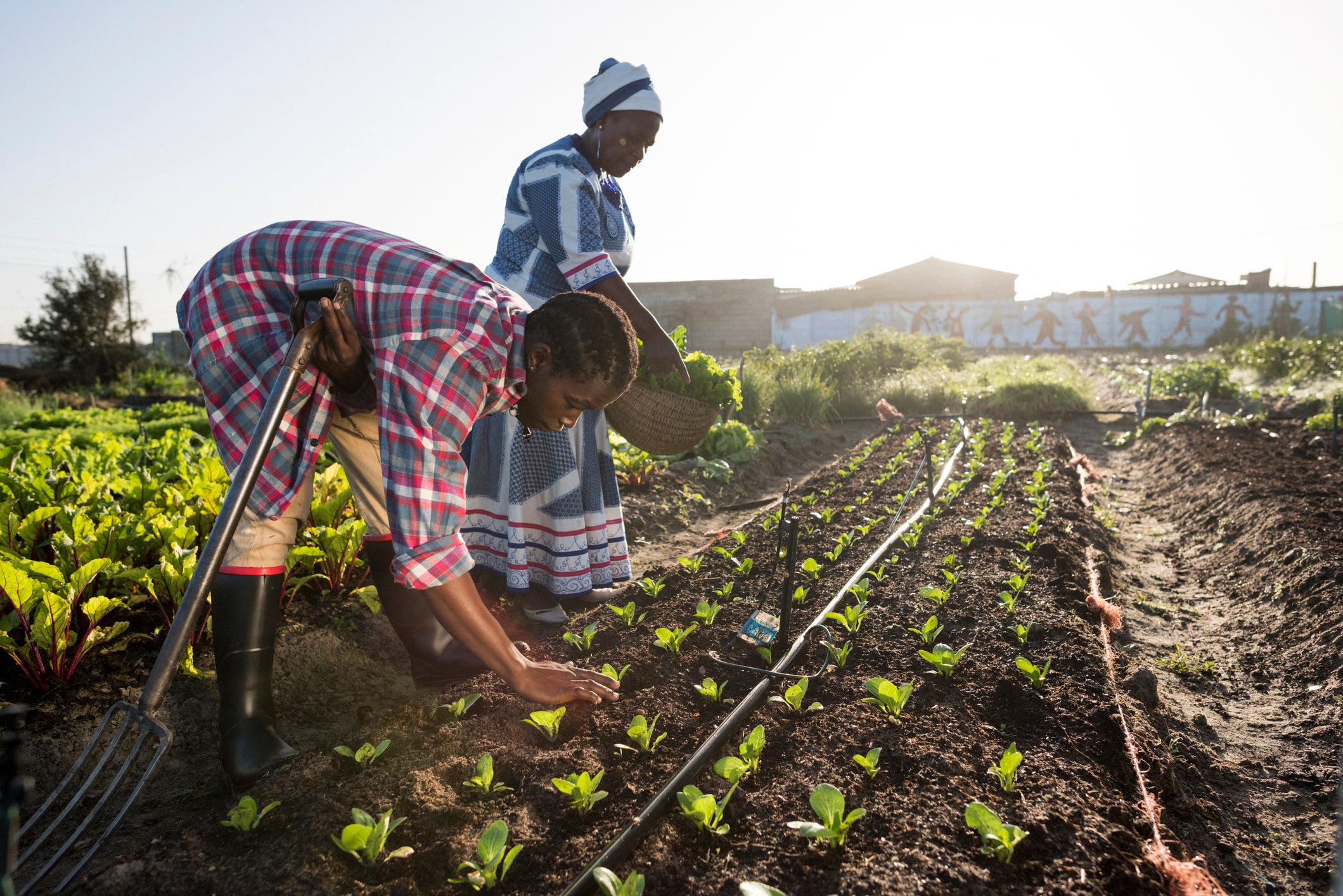Picture of two women working in a field