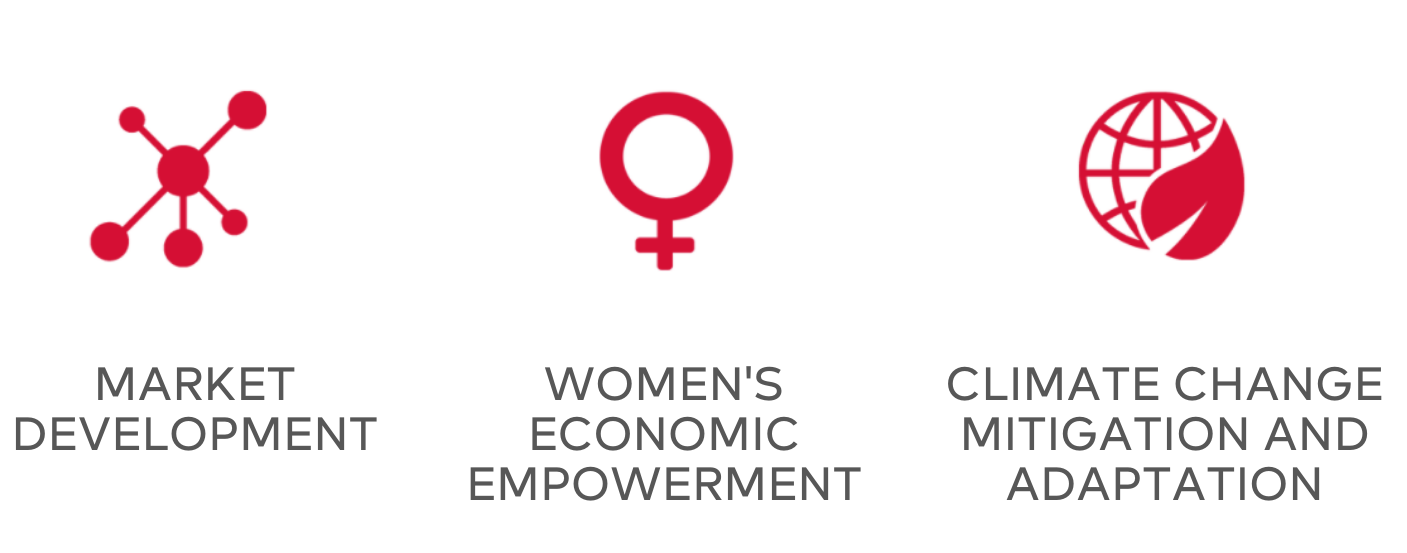 FinDev Canada's Development Impact Goals