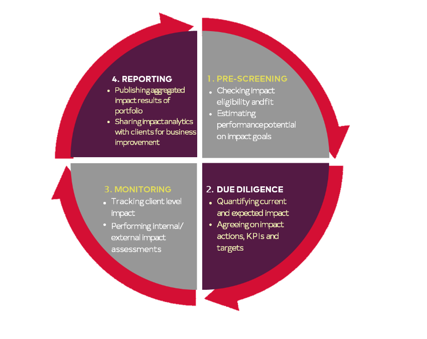 Development impact management cycle