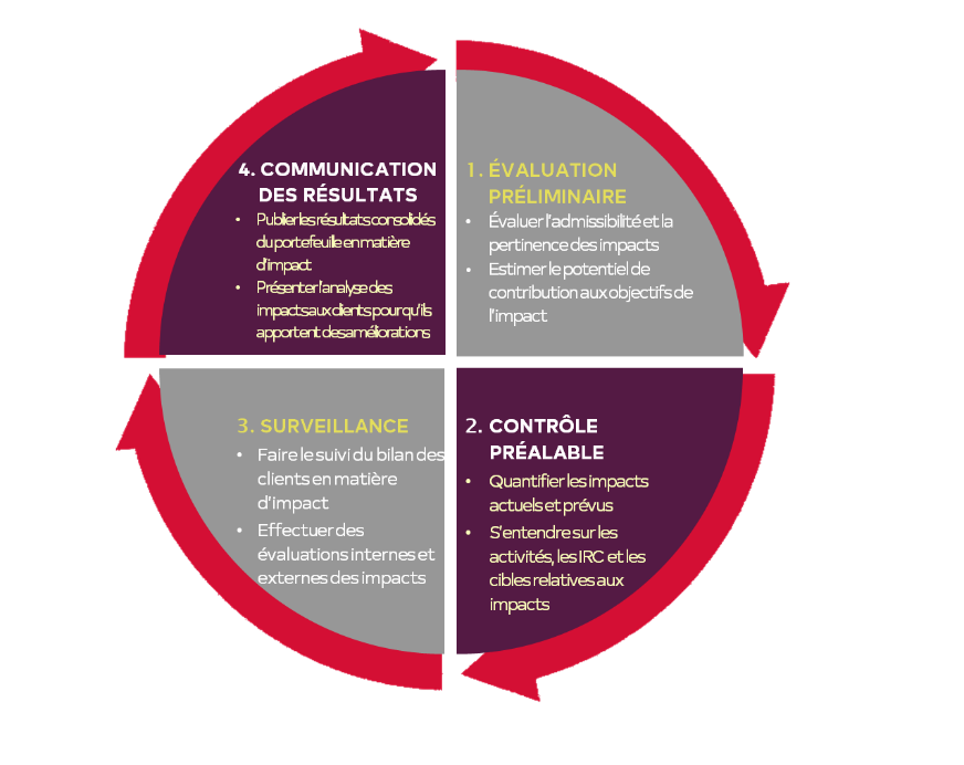 Cycle de gestion de l’impact sur le développement