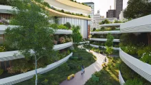 green residential area