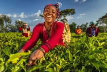 Woman working in a field and smiling