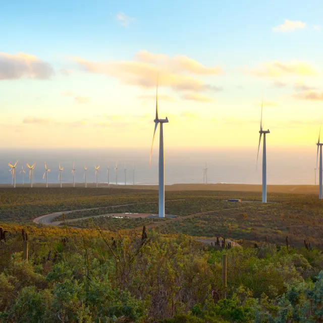 CIFI - Field of wind turbines