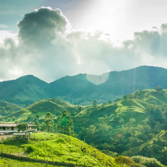 Small coffee farm in Colombia