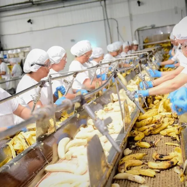 Factory workers peeling bananas
