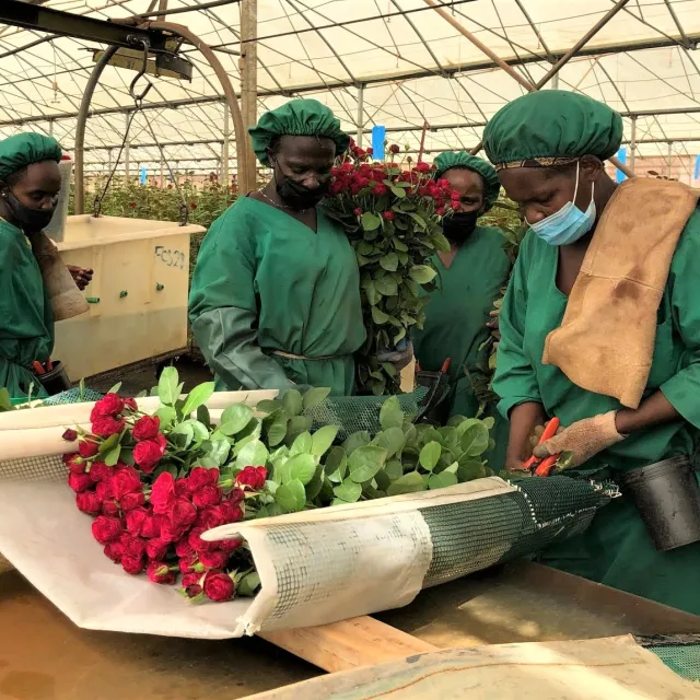 Women with bundles of flowers