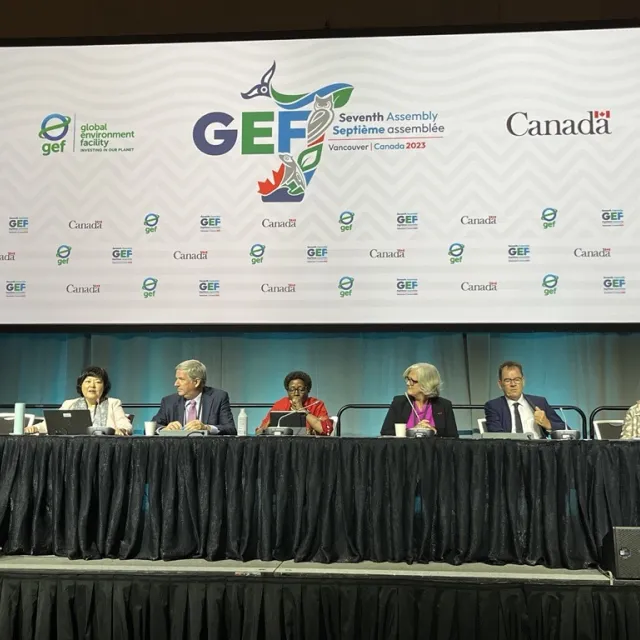 GEF panel photo 2