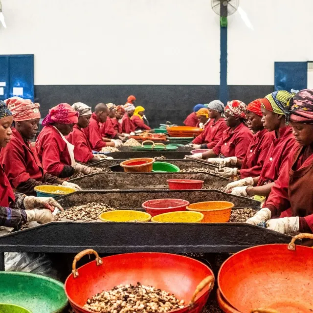 ETG female workers in a nut selection facility