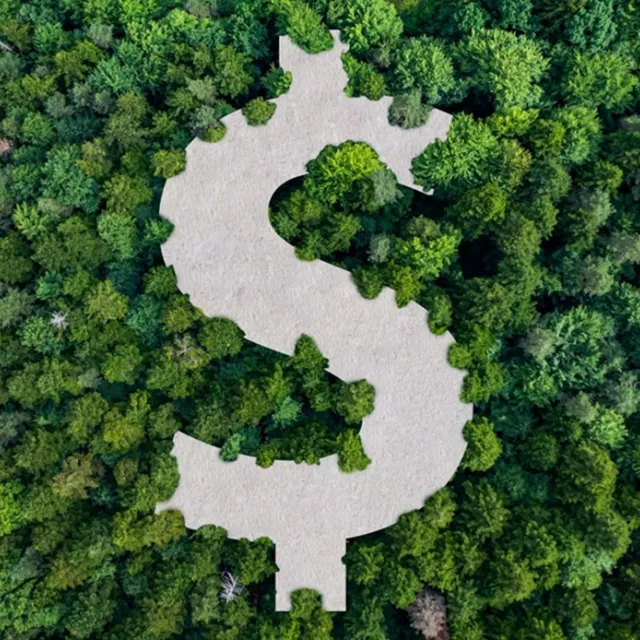 Dollar sign in trees