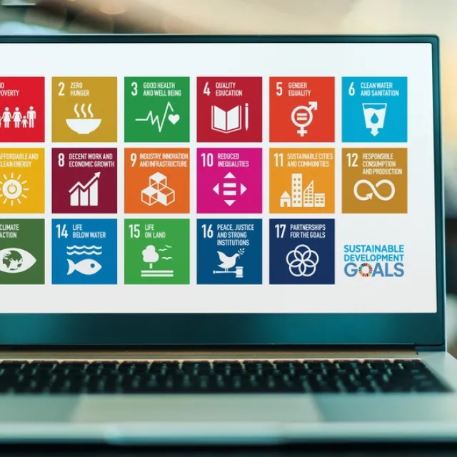 sdg screen