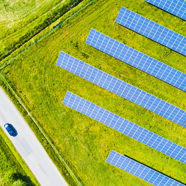Rows of solar panels