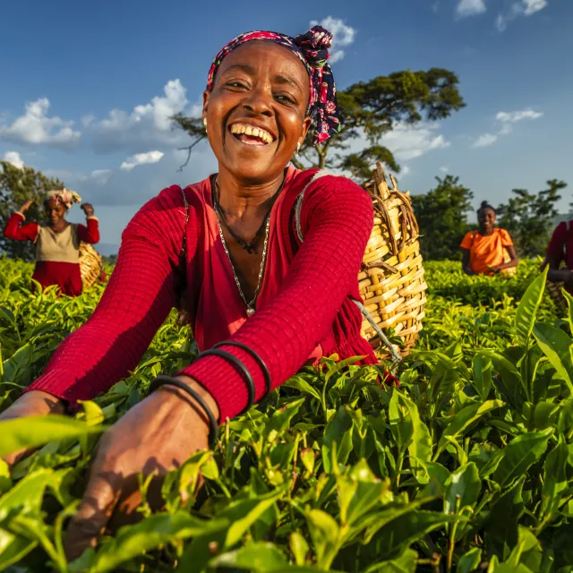 Woman working in a field and smiling