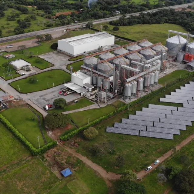 Flexos Aguazul