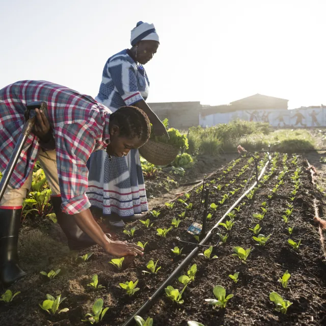 Picture of two women working in a field