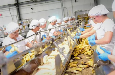 Factory workers peeling bananas