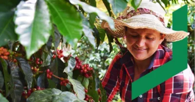 Farmer with hat smiling between trees