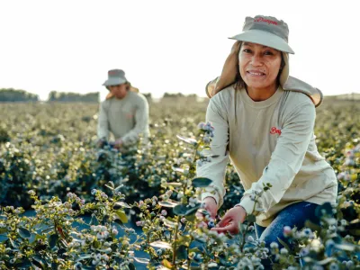 Farmers smiling and working