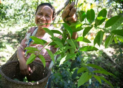 Woman holding up plant and smiling