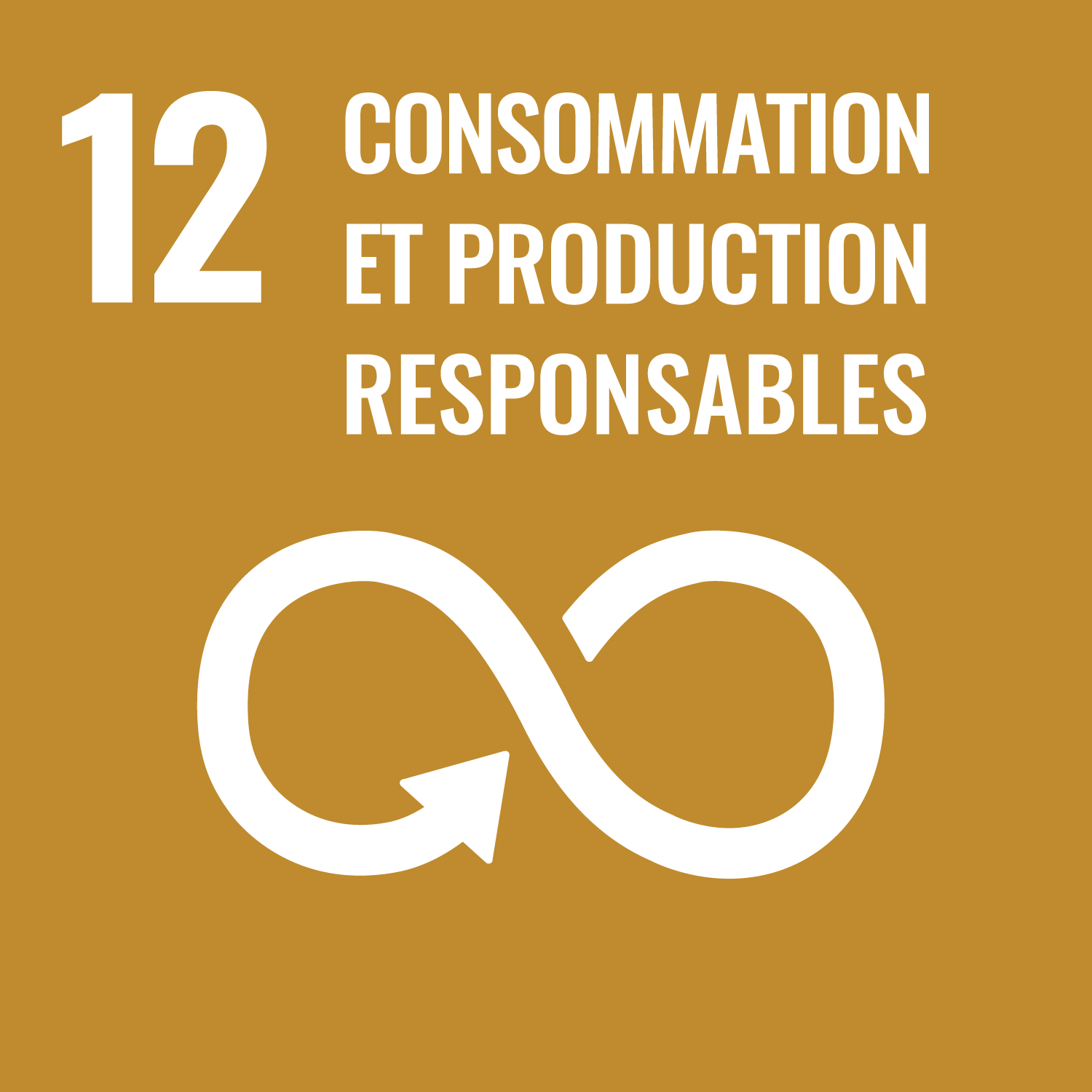 ODD 12 - Consommation et production responsables