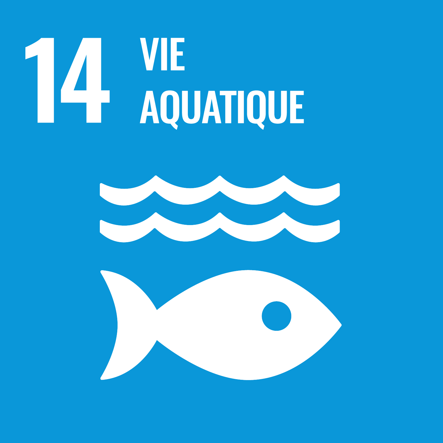 ODD 14 - Vie aquatique