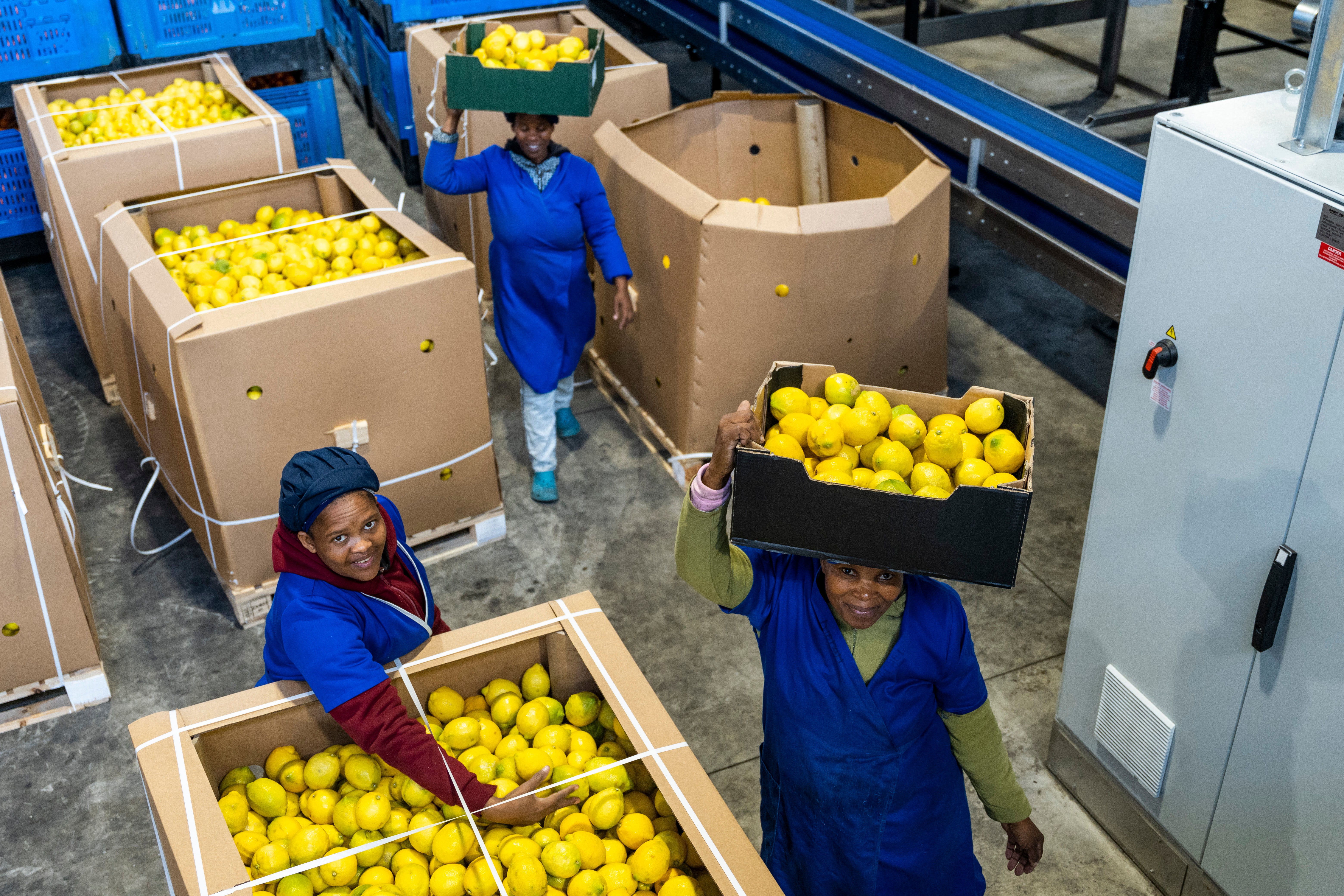 Image of women working in a factory.