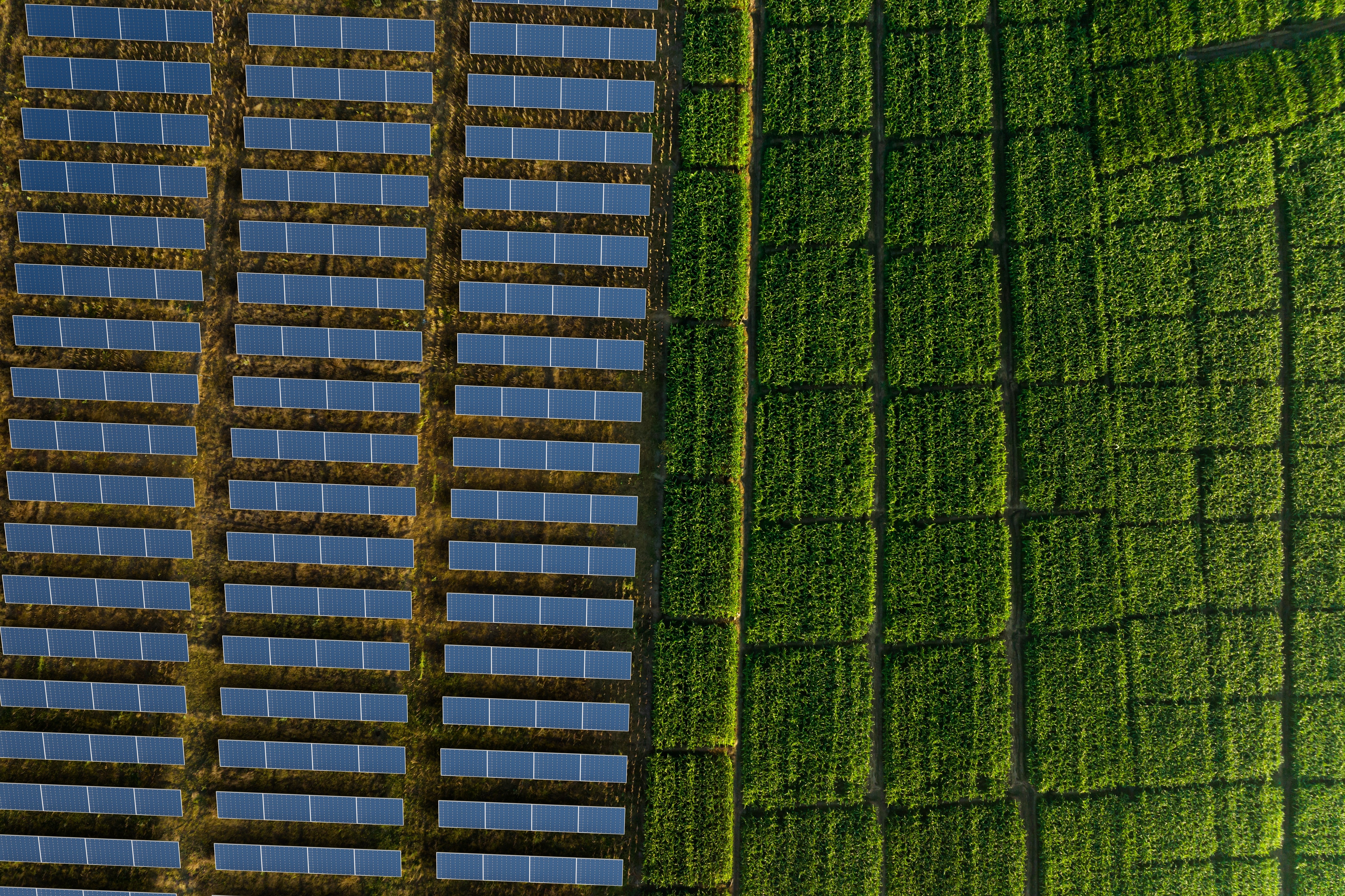 Locfund Next by Bolivian Investment Management: Aerial image of rows of solar panels next to a green field.