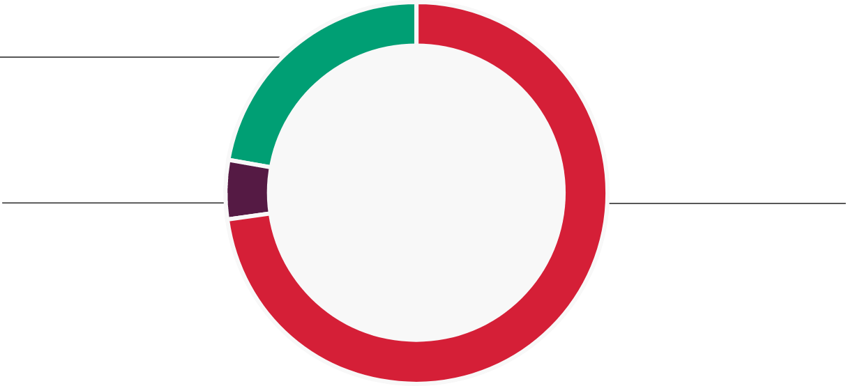 Financing type: A pie chart showcasing the financing mix in terms of indirect equity, direct equity, and debt.