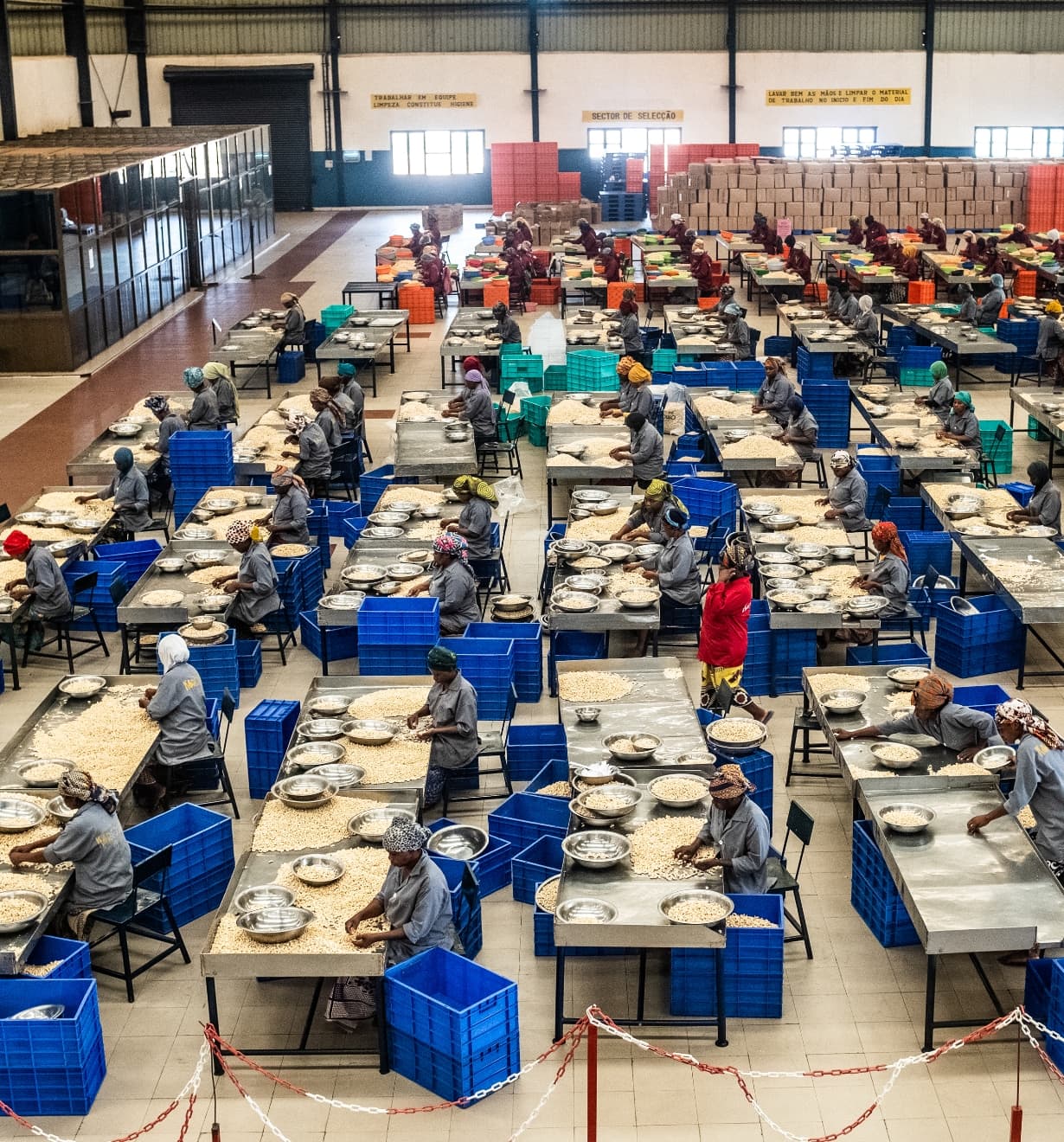 Inside the facility, with tables of workstations for cashew selection