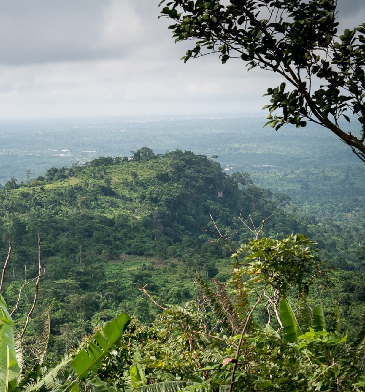 A view overlooking West Africa. Photo courtesy of Miro Forestry.
