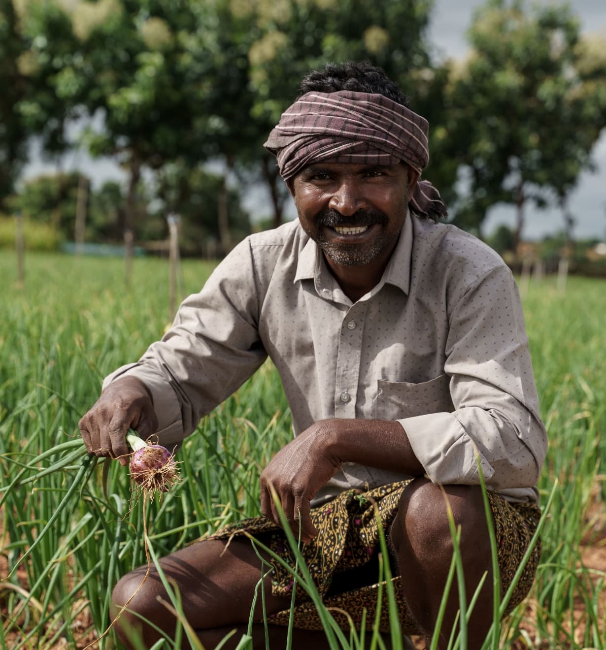 Le programme de développement communautaire en Inde a entre autres permis à 250 agriculteurs d’acquérir de nouvelles compétences et connaissances en agriculture biologique et élevage du bétail. Photo publiée avec l’aimable autorisation de Climate Investor One.