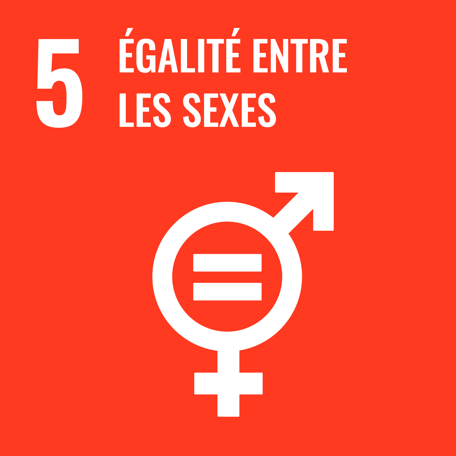 SDG 5. Égalité Entre Les Sexes