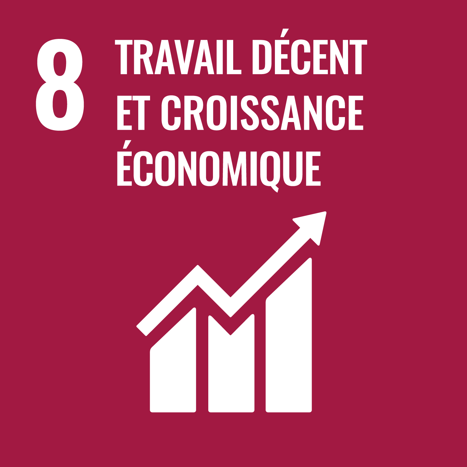 SDG 8. Travail Décent et Croissance Économique