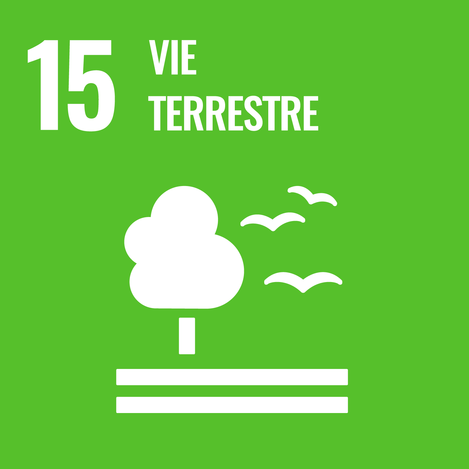 SDG 15. Vie Terrestre