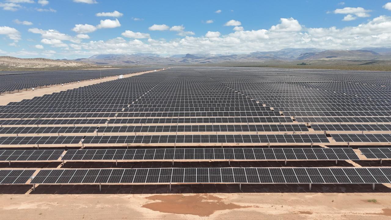 A field of solar panels