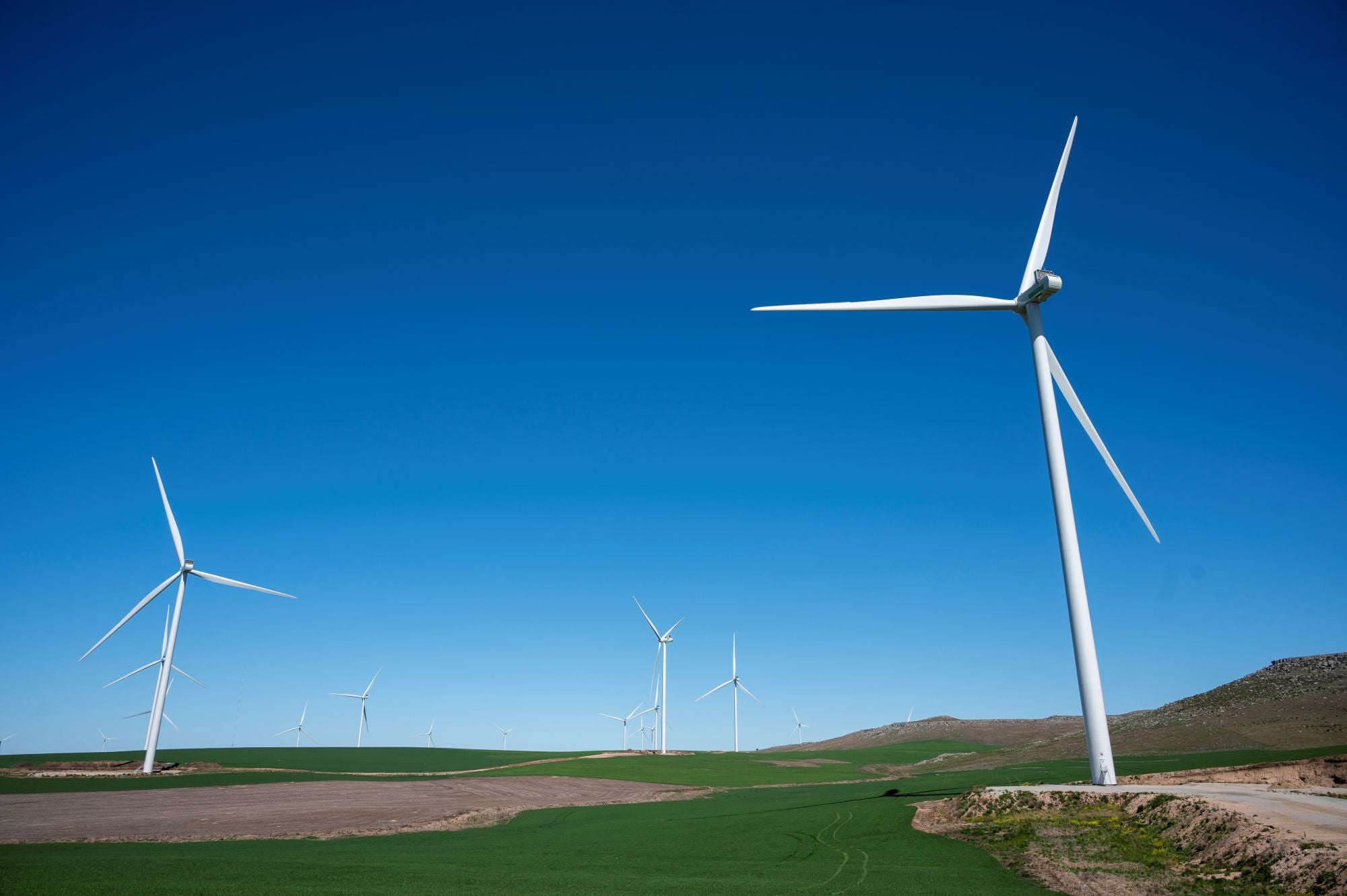 A field of wind turbines in the middle of green fields
